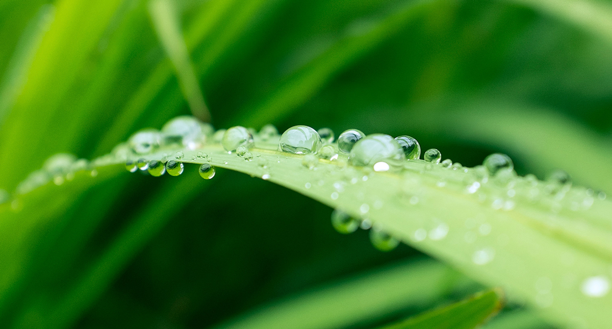 Industrial Water Conservation | Water Conservation in Industry