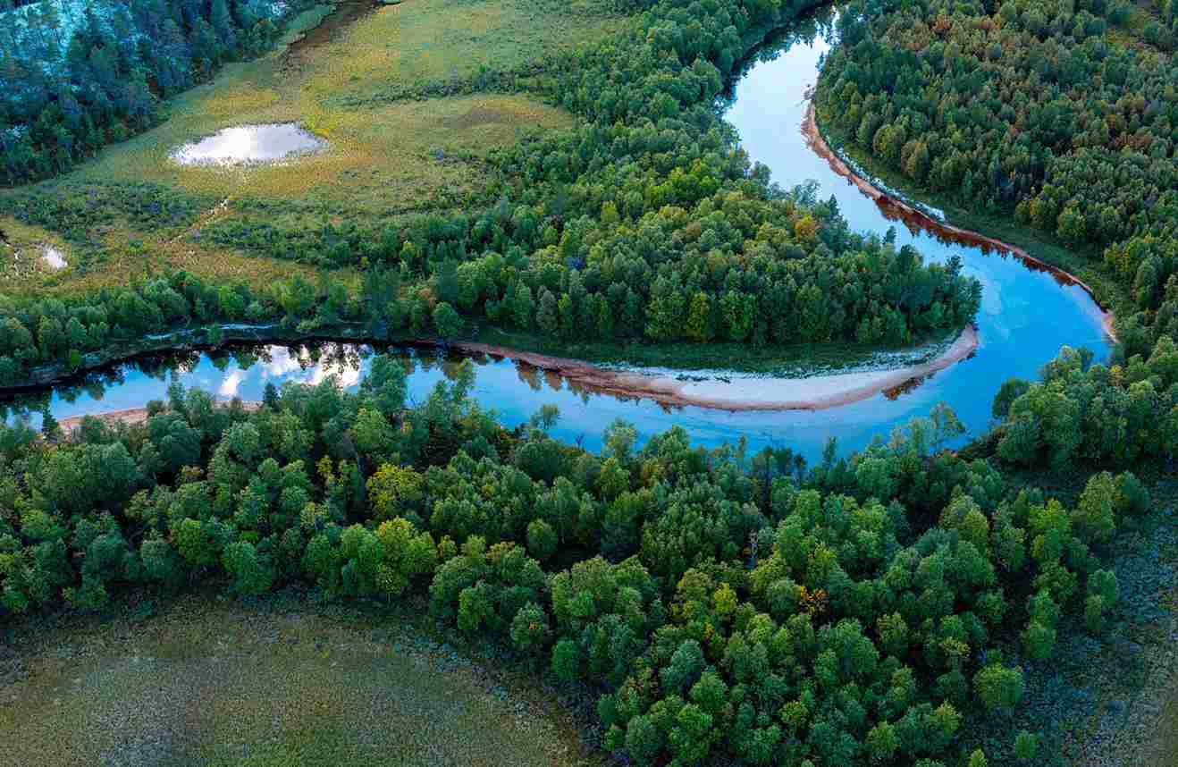 Aerial view of a winding river curving through a dense green forest and meadows.